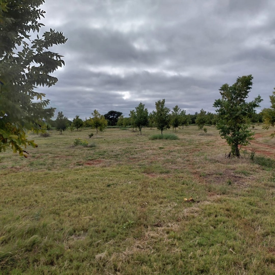 Commercial Property for Sale in Warrenton Northern Cape